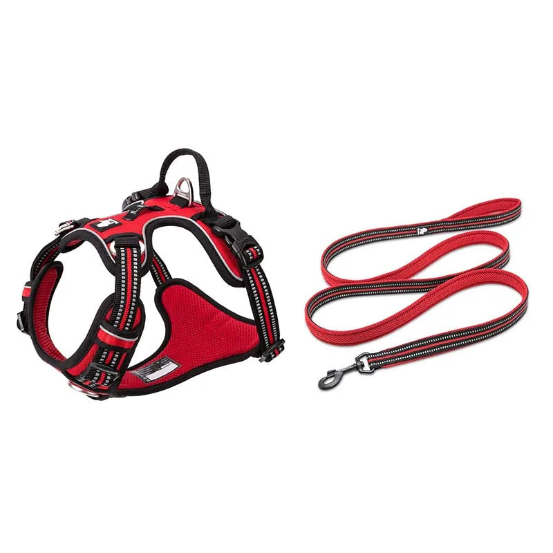 Pet Harness+Pet Leash Set Rope