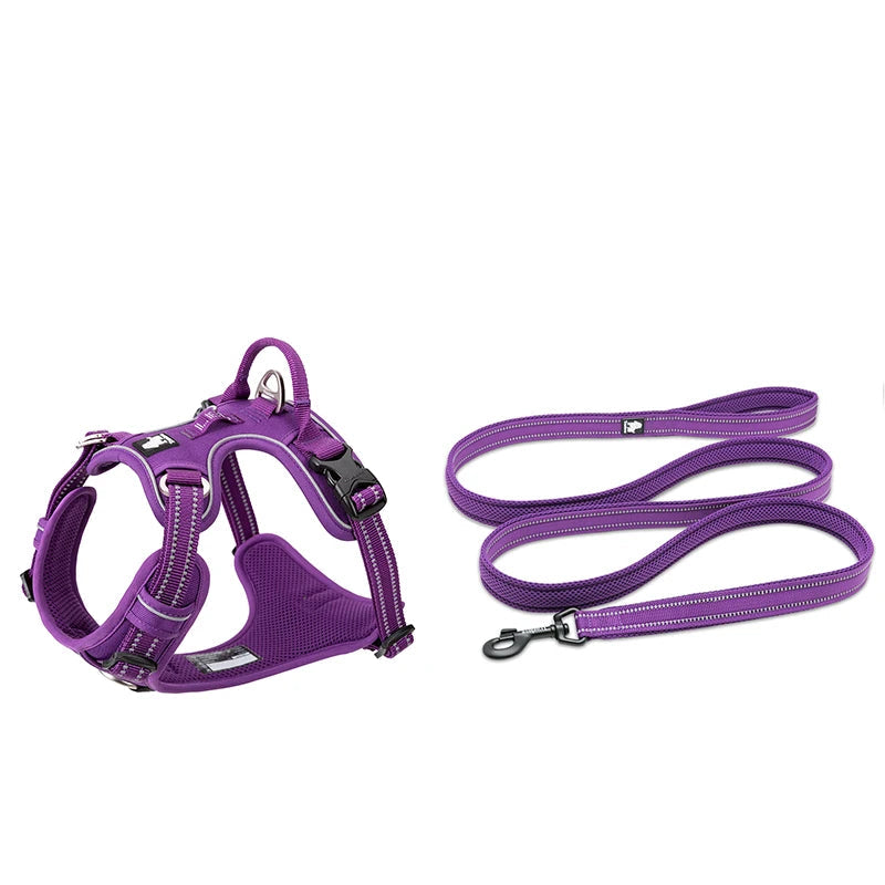 Pet Harness+Pet Leash Set Rope